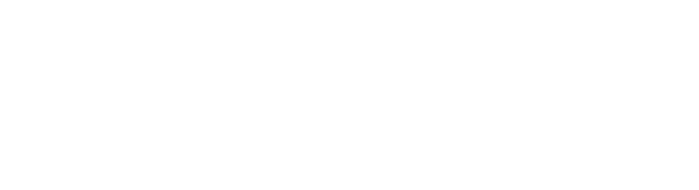 w version 2